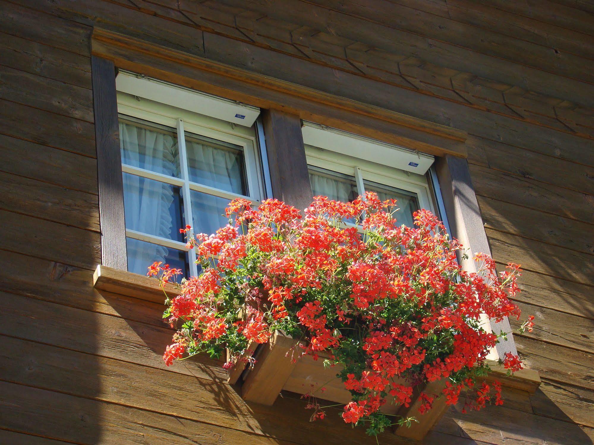 Arcade Apartments & Spa Saas Fee Exterior foto